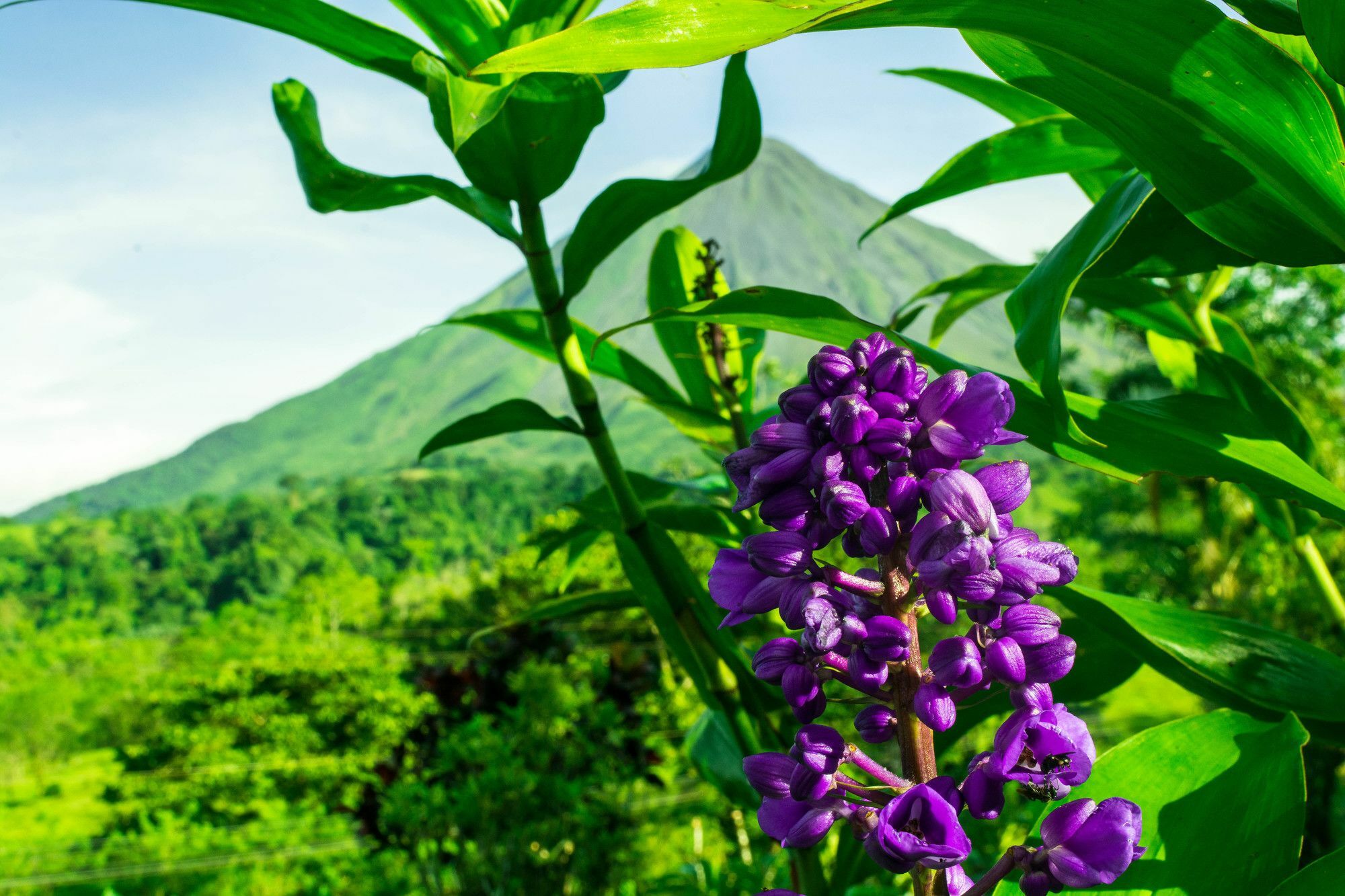 Arenal Bungalows La Fortuna Zewnętrze zdjęcie