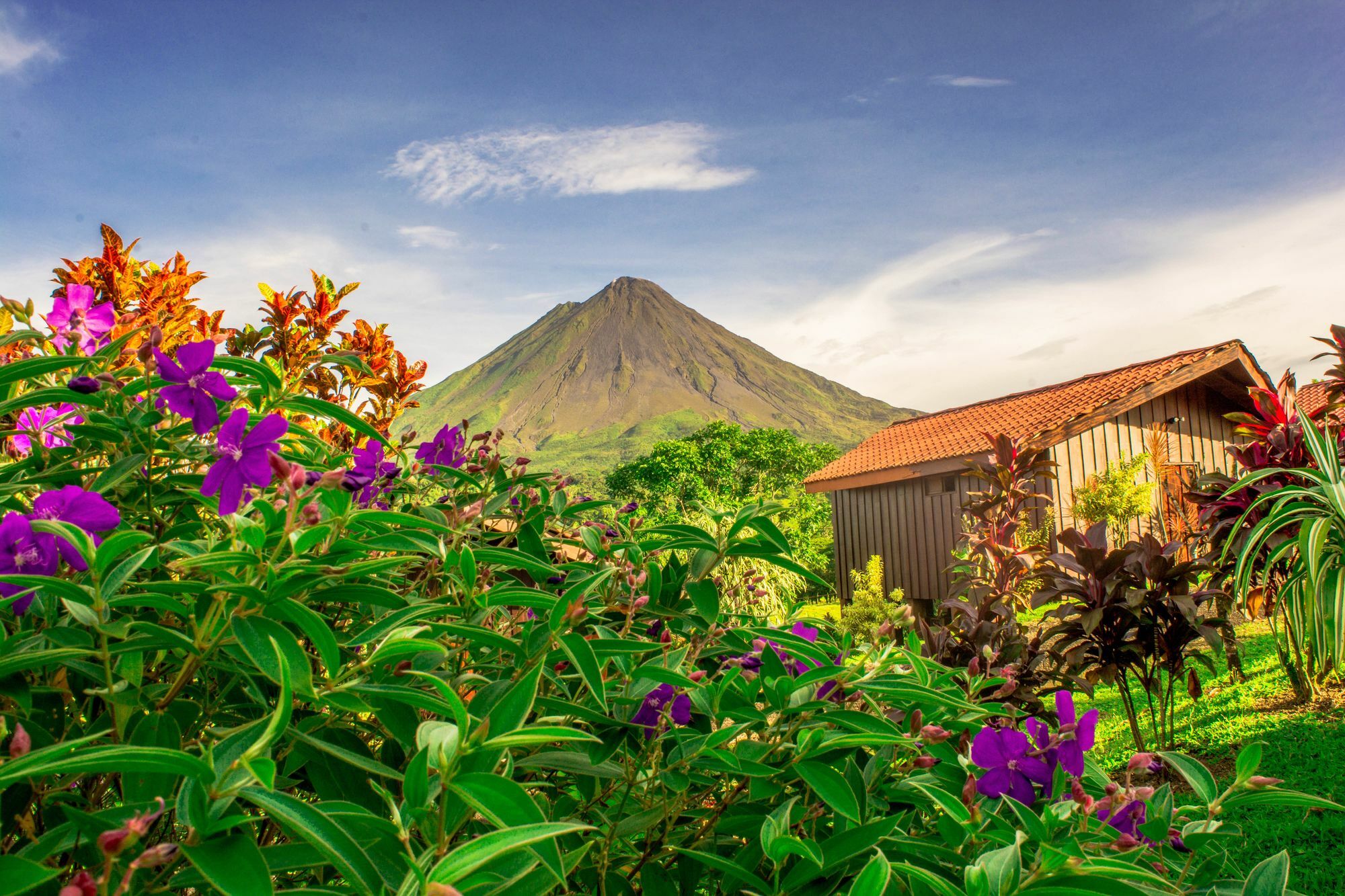 Arenal Bungalows La Fortuna Zewnętrze zdjęcie