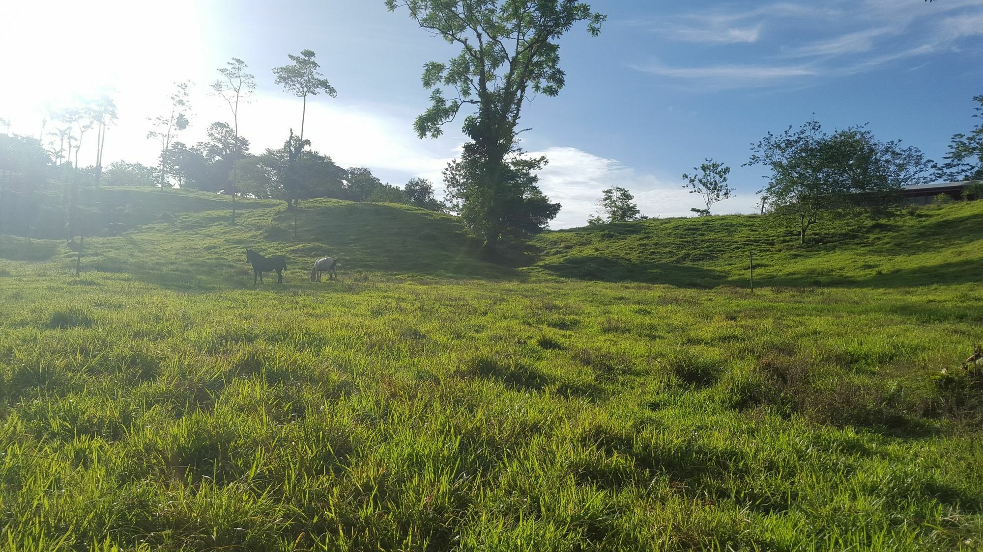 Arenal Bungalows La Fortuna Zewnętrze zdjęcie